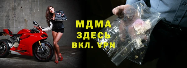 МДПВ Бородино
