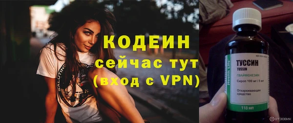 МДПВ Бородино