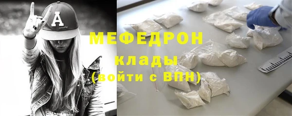 МДПВ Бородино