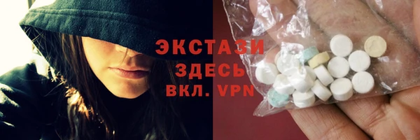 МДПВ Бородино