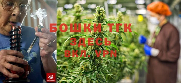 МДПВ Бородино