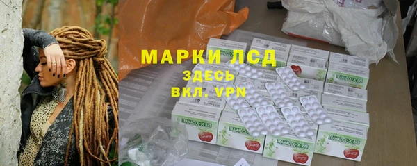 МДПВ Бородино