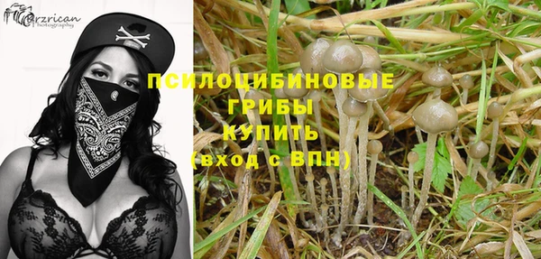 МДПВ Бородино